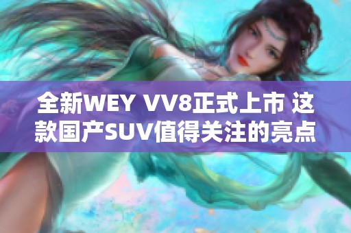 全新WEY VV8正式上市 这款国产SUV值得关注的亮点解析