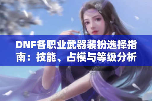 DNF各职业武器装扮选择指南：技能、占模与等级分析