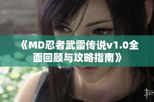 《MD忍者武雷传说v1.0全面回顾与攻略指南》