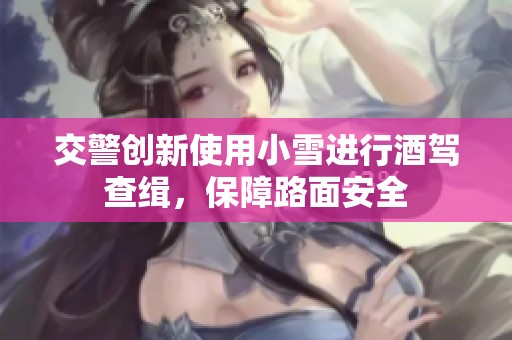 交警创新使用小雪进行酒驾查缉，保障路面安全