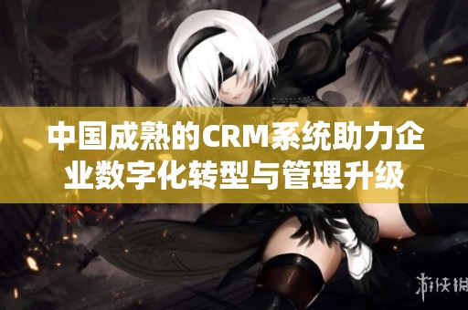 中国成熟的CRM系统助力企业数字化转型与管理升级