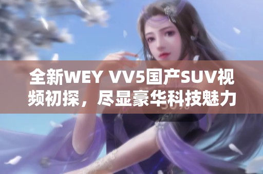 全新WEY VV5国产SUV视频初探，尽显豪华科技魅力