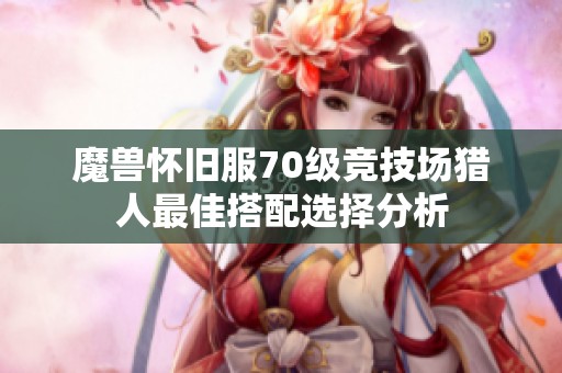 魔兽怀旧服70级竞技场猎人最佳搭配选择分析