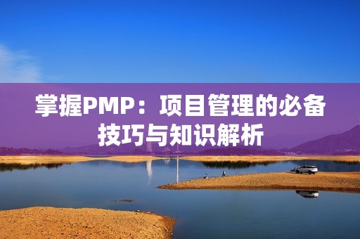 掌握PMP：项目管理的必备技巧与知识解析