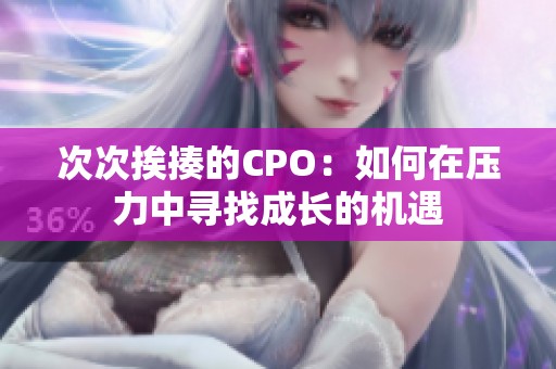 次次挨揍的CPO：如何在压力中寻找成长的机遇