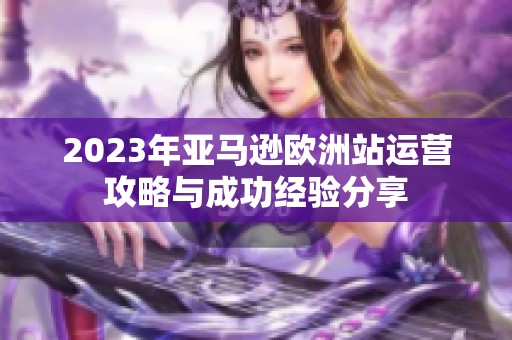 2023年亚马逊欧洲站运营攻略与成功经验分享