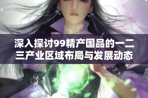 深入探讨99精产国品的一二三产业区域布局与发展动态