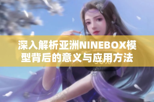 深入解析亚洲NINEBOX模型背后的意义与应用方法