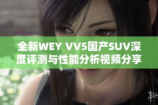 全新WEY VV5国产SUV深度评测与性能分析视频分享