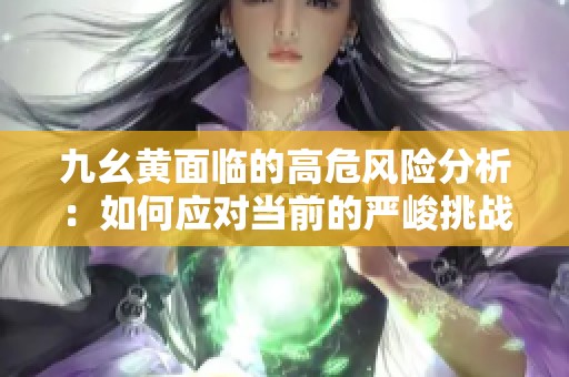 九幺黄面临的高危风险分析：如何应对当前的严峻挑战