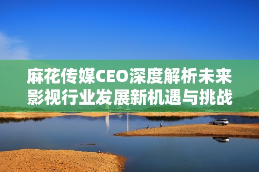 麻花传媒CEO深度解析未来影视行业发展新机遇与挑战