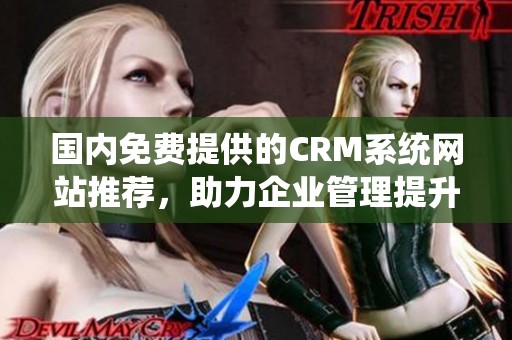 国内免费提供的CRM系统网站推荐，助力企业管理提升