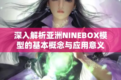 深入解析亚洲NINEBOX模型的基本概念与应用意义