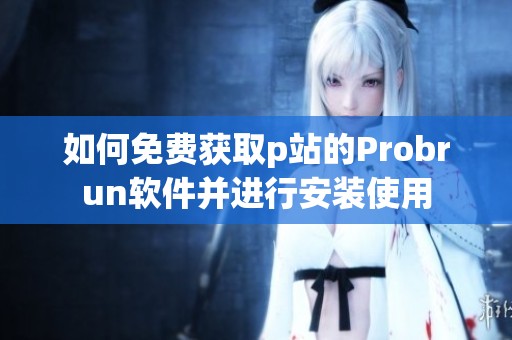 如何免费获取p站的Probrun软件并进行安装使用