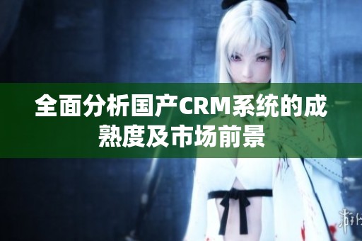 全面分析国产CRM系统的成熟度及市场前景