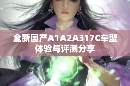 全新国产A1A2A317C车型体验与评测分享