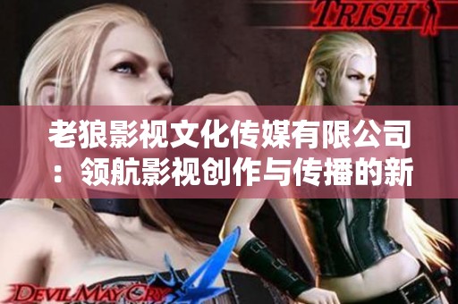 老狼影视文化传媒有限公司：领航影视创作与传播的新势力