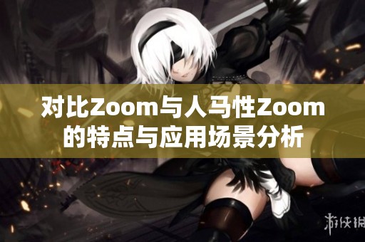 对比Zoom与人马性Zoom的特点与应用场景分析