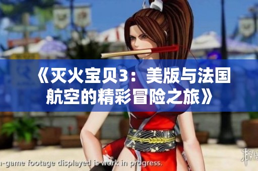《灭火宝贝3：美版与法国航空的精彩冒险之旅》