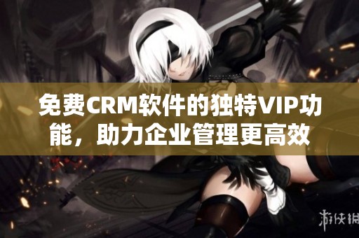 免费CRM软件的独特VIP功能，助力企业管理更高效