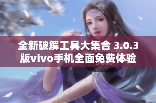 全新破解工具大集合 3.0.3版vivo手机全面免费体验