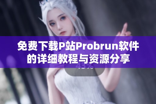 免费下载P站Probrun软件的详细教程与资源分享