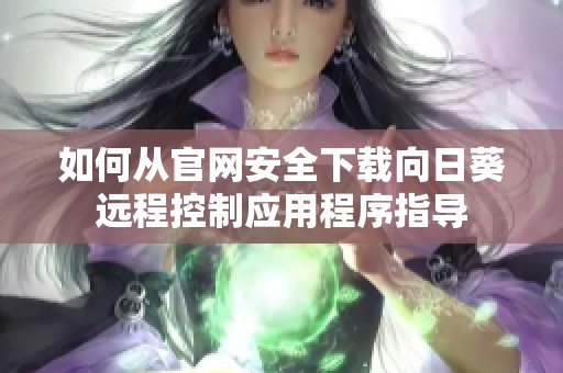 如何从官网安全下载向日葵远程控制应用程序指导