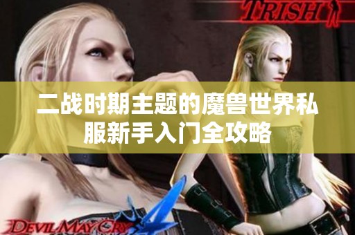 二战时期主题的魔兽世界私服新手入门全攻略