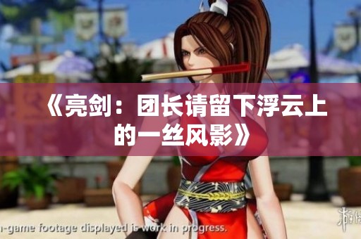 《亮剑：团长请留下浮云上的一丝风影》