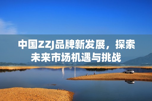 中国ZZJ品牌新发展，探索未来市场机遇与挑战