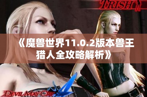 《魔兽世界11.0.2版本兽王猎人全攻略解析》