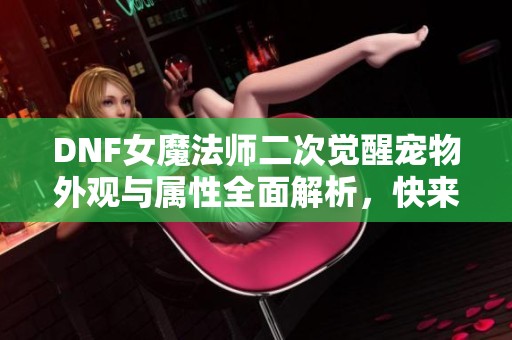 DNF女魔法师二次觉醒宠物外观与属性全面解析，快来看看这些可爱的萌宠吧