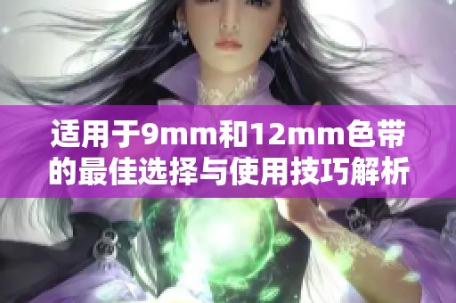 适用于9mm和12mm色带的最佳选择与使用技巧解析