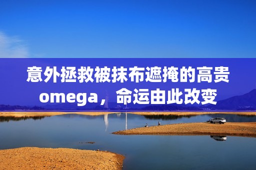 意外拯救被抹布遮掩的高贵omega，命运由此改变