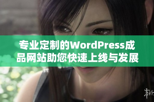 专业定制的WordPress成品网站助您快速上线与发展