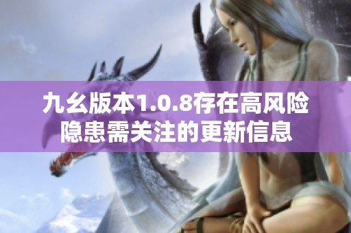 九幺版本1.0.8存在高风险隐患需关注的更新信息