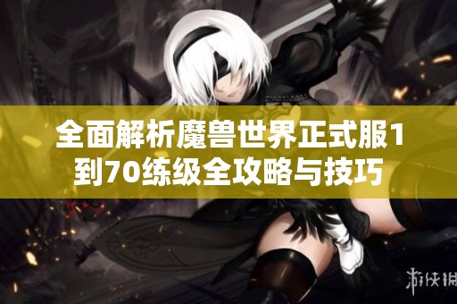 全面解析魔兽世界正式服1到70练级全攻略与技巧