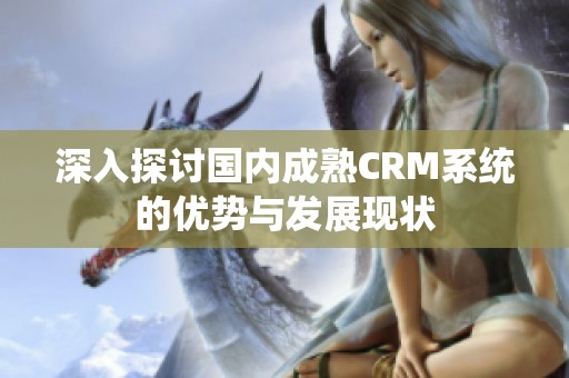 深入探讨国内成熟CRM系统的优势与发展现状