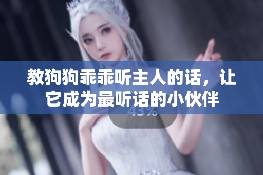 教狗狗乖乖听主人的话，让它成为最听话的小伙伴