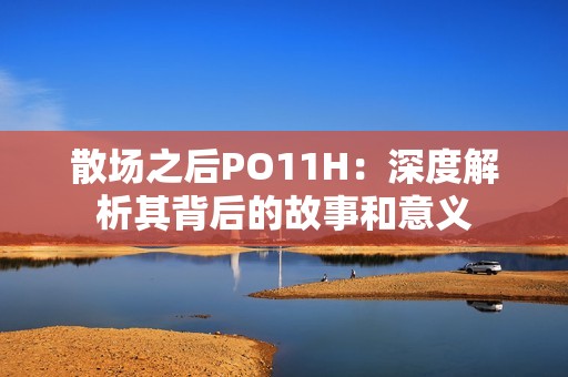 散场之后PO11H：深度解析其背后的故事和意义