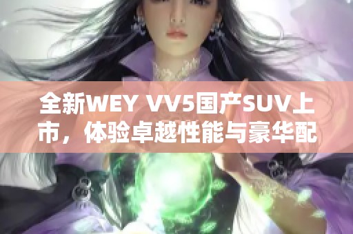 全新WEY VV5国产SUV上市，体验卓越性能与豪华配置