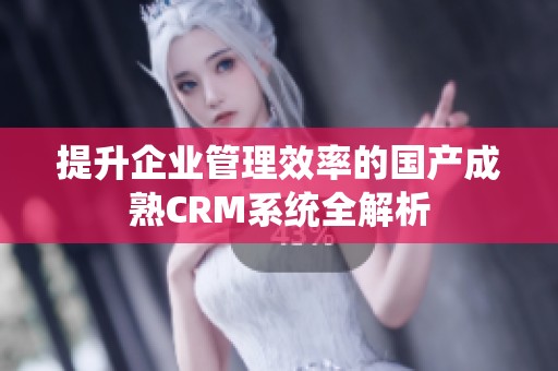 提升企业管理效率的国产成熟CRM系统全解析