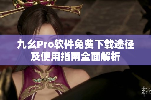 九幺Pro软件免费下载途径及使用指南全面解析