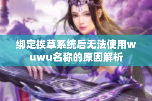 绑定挨草系统后无法使用wuwu名称的原因解析